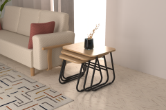 Vilinze Zigana Çok Amaçlı Siyah Metal Ayak 3'lü Zigon Sehpa