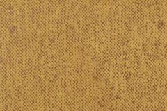 Vilinze Ege Kestane Ahşap Ayak İstiflenebilir Mutfak-Balkon Taburesi 4 Adet - Sarı