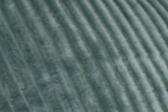 Vilinze Sofya Ahşap Sandalye Yeşil